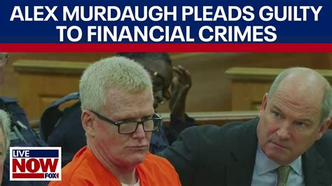 Alex Murdaugh pleads guilty to financial crimes in state court, adding to prison time